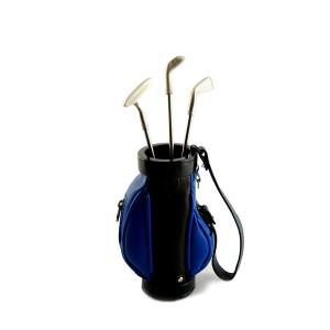 Swinger Golf Pet Set
